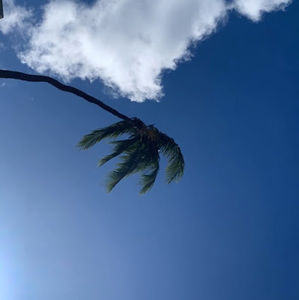 Meet your Posher, Sally